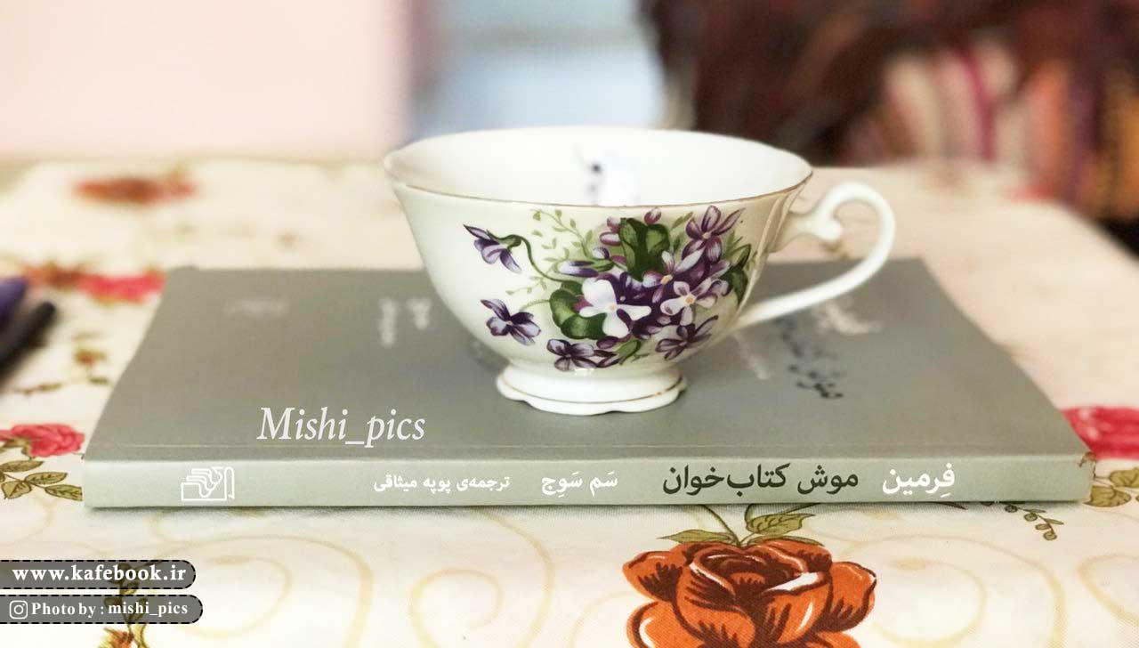 فرمین موش کتاب خوان - کافه بوک